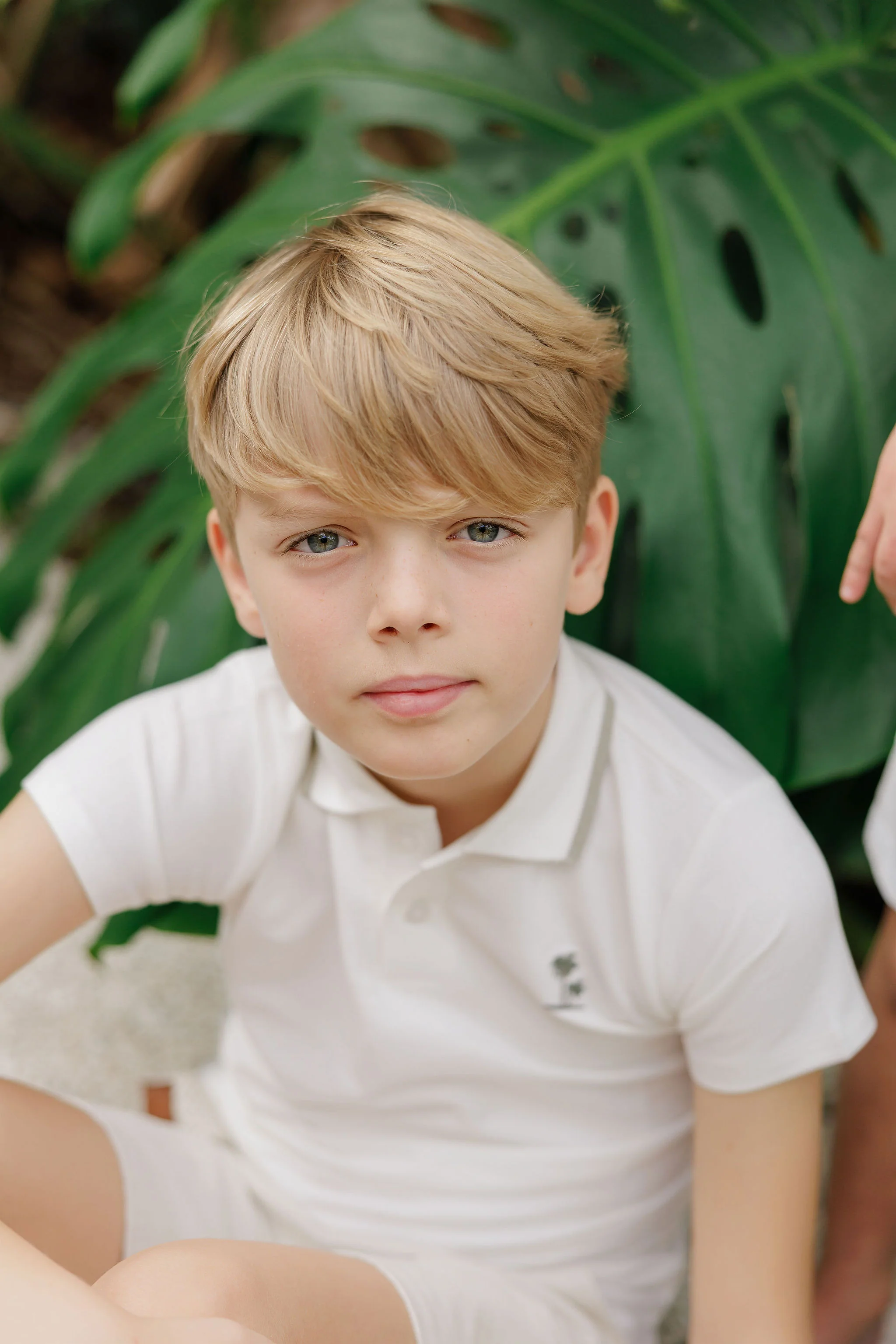 Boys Polo - Ivory - Embroidered Palm Trees - Image 3