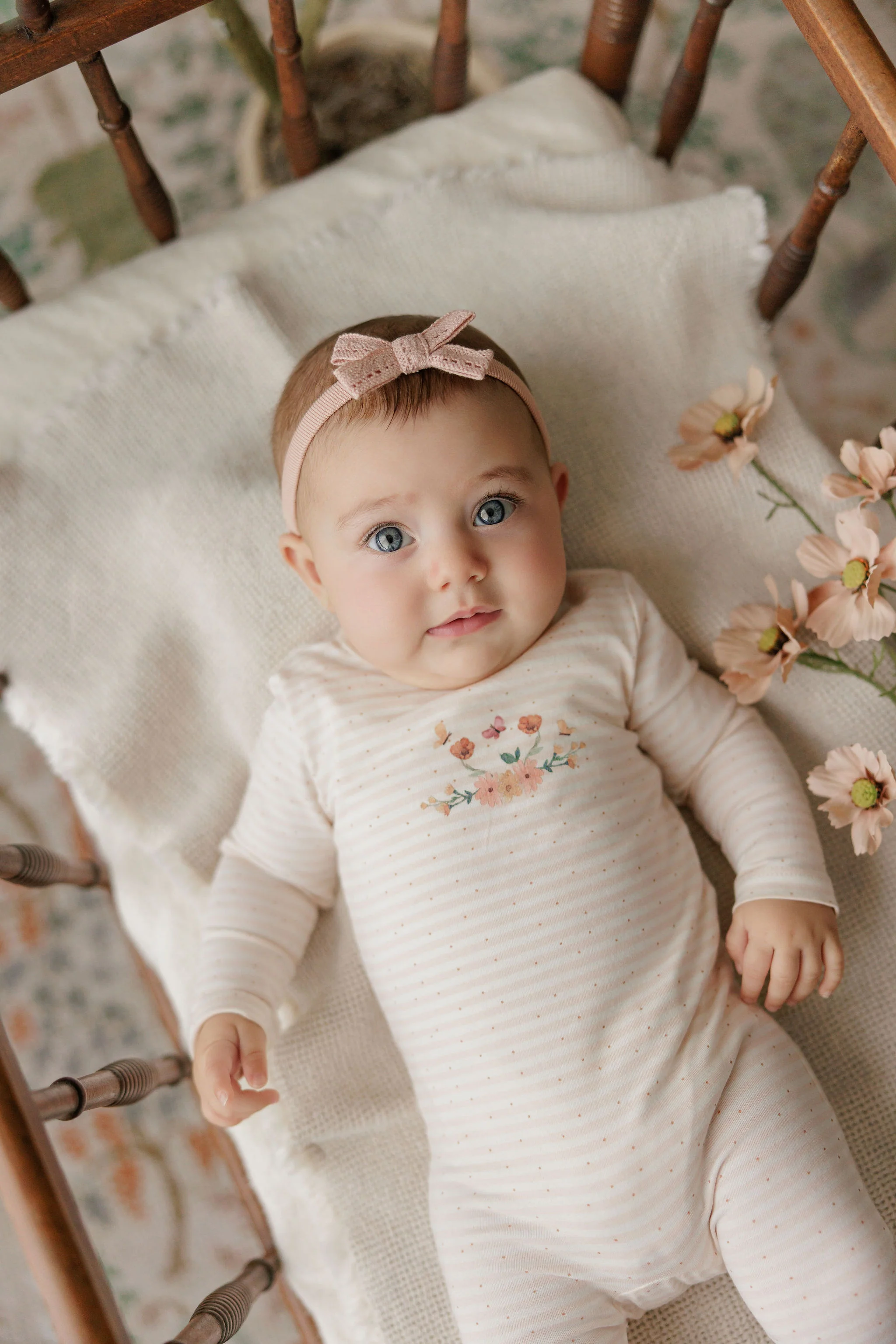 Girls Tshirt and Bloomer Set - Ivory Pink - Floral Stripe - Image 3