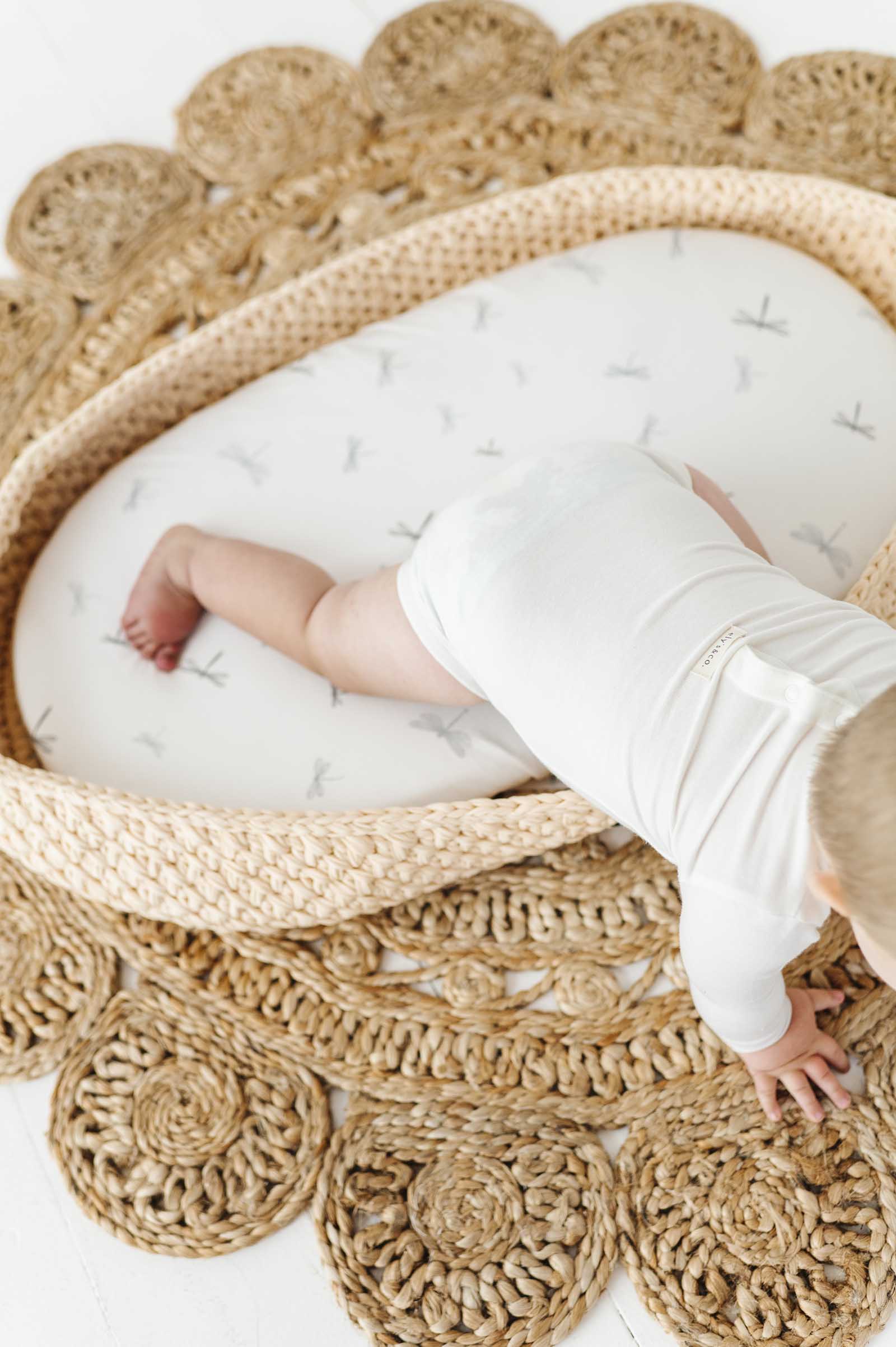 Modal Bodysuit - Crew Neck - Image 4